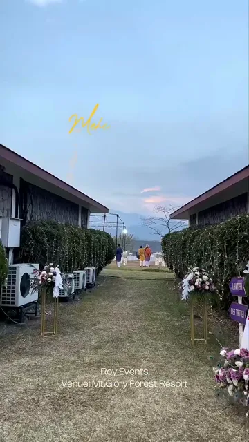Mehndi Décor — Roy Events