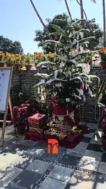 Event Décor — Roy Events