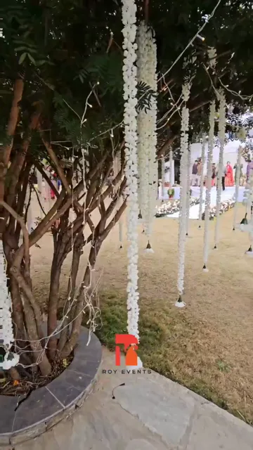 Reception Décor at Hotel Barahi