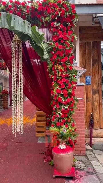 Mehndi Décor — Roy Events